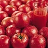 Tomato Extract. Lycopene Content 20% -50%