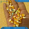 Superior Quality Highly Nutritious Yellow Maize