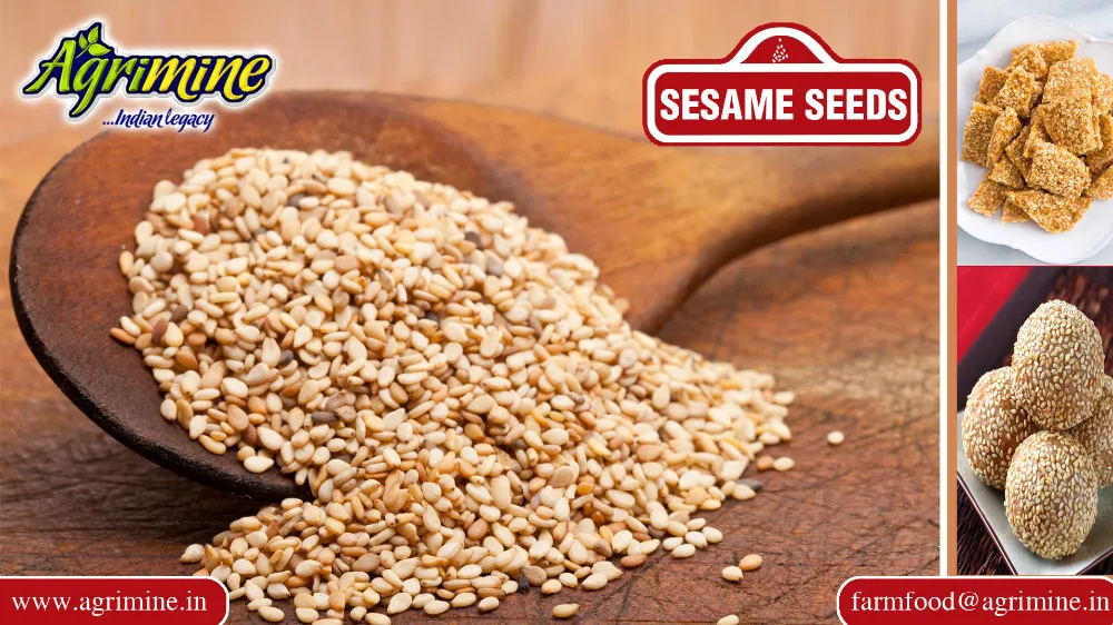 Bakery Use Hulled Sesame Seed Buy Bakery Use Hulled Sesame Seed,White