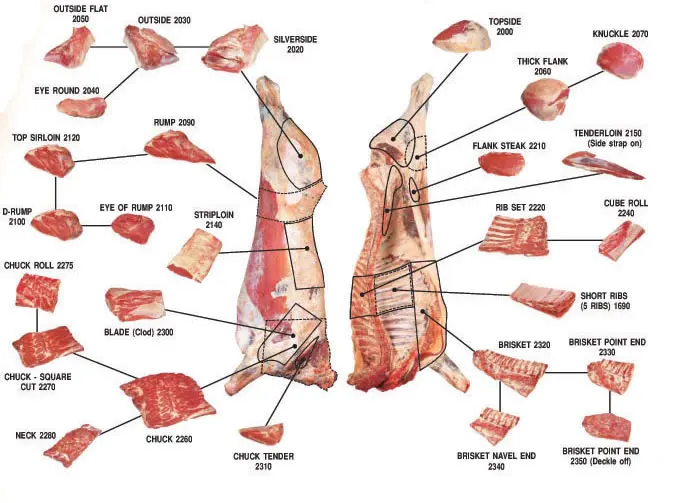 beef-cuts.jpg