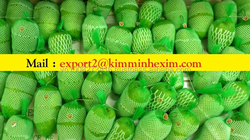 FRESH GRAVIOLA FRUIT.jpg