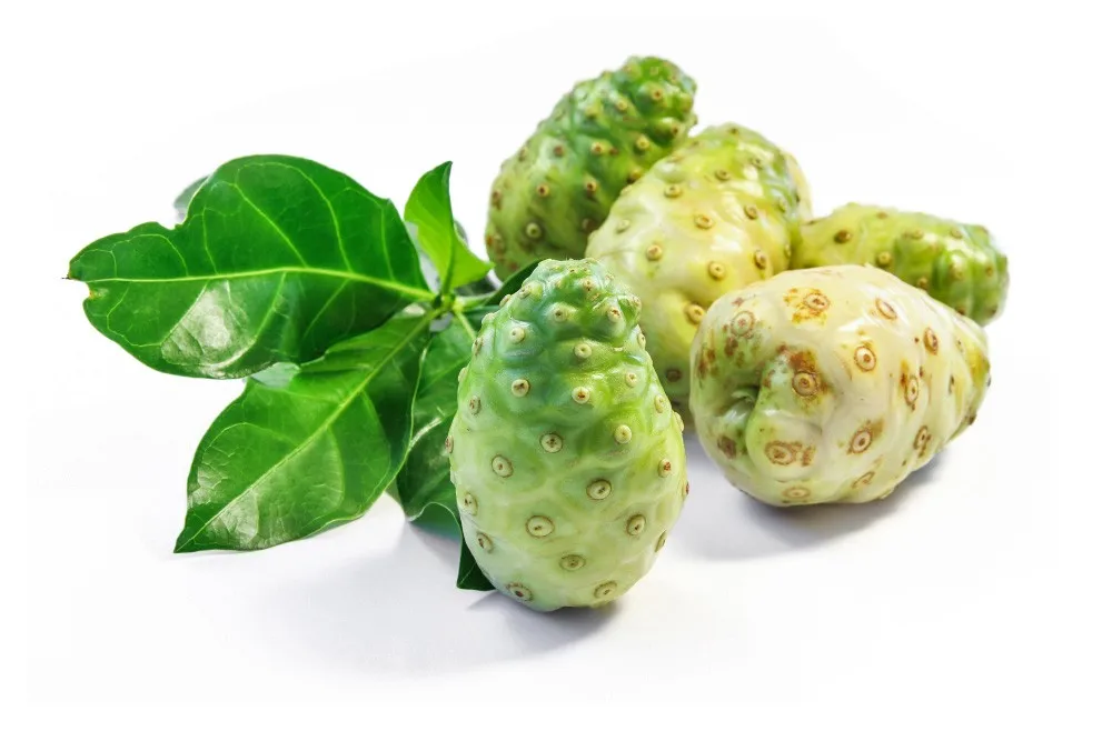 100 Pure Noni Capsules / Herbal Dried Noni Fruit Pill/ Whatsapp +0084