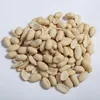 Roasted Blanched Peanut Diced, Roasted Split Peanuts