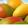 Mangoes,Yellow Fresh type Organic farm Mango