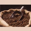 /product-detail/roasted-coffee-beans-from-india-50038379149.html