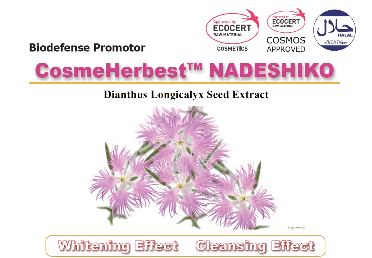 Nadeshiko Seed Extract_01.png