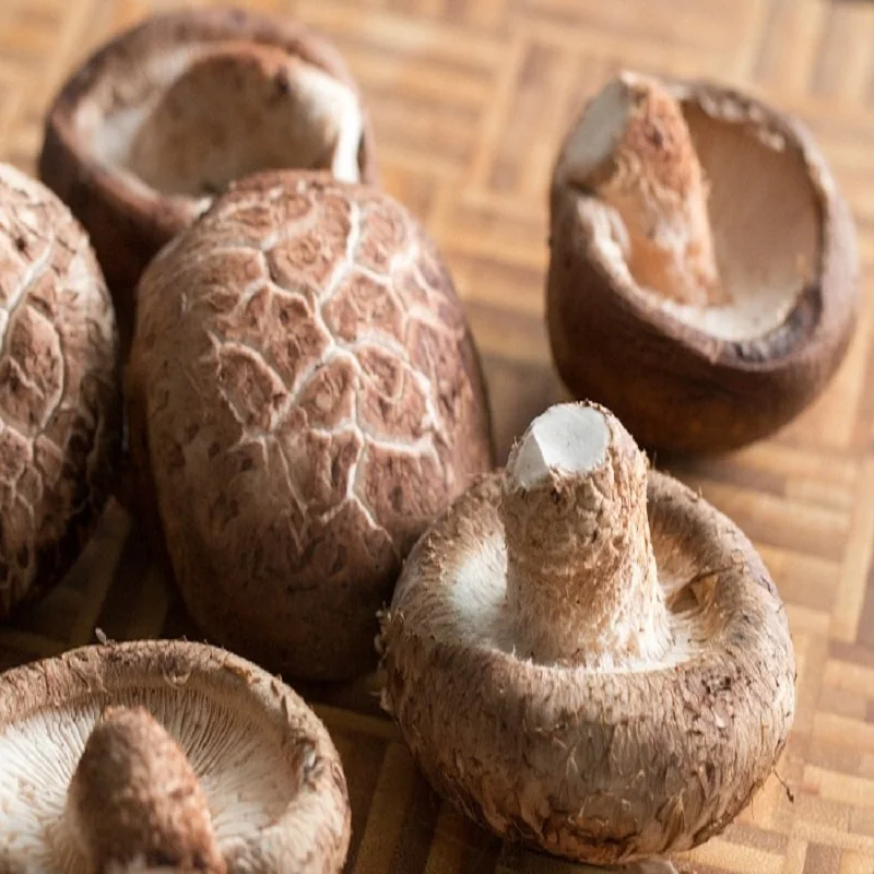 frozen shiitake ,mushroom high quality, canned straw.