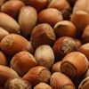 Top Grade Hazelnuts In Shell for sale