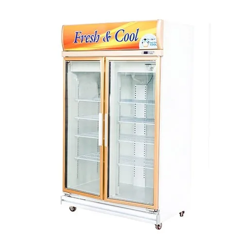 2 Door Upright Freezer Chiller Refrigerator Buy 2 Door Upright