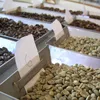 ARABICA Peaberry Doi Chang Thailand Mountain Unroasted Blue-Green Coffee Beans