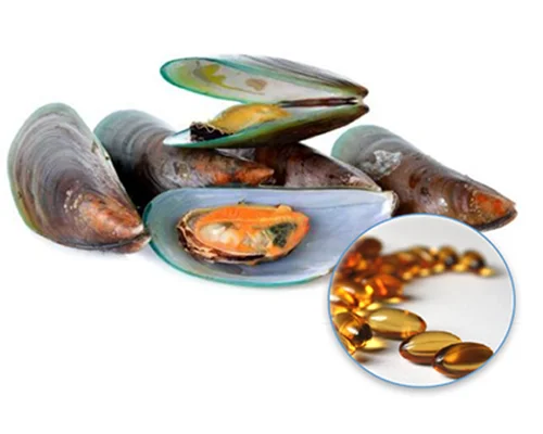 
Bulk New Zealand Green Lipped Mussel Oil Extract 