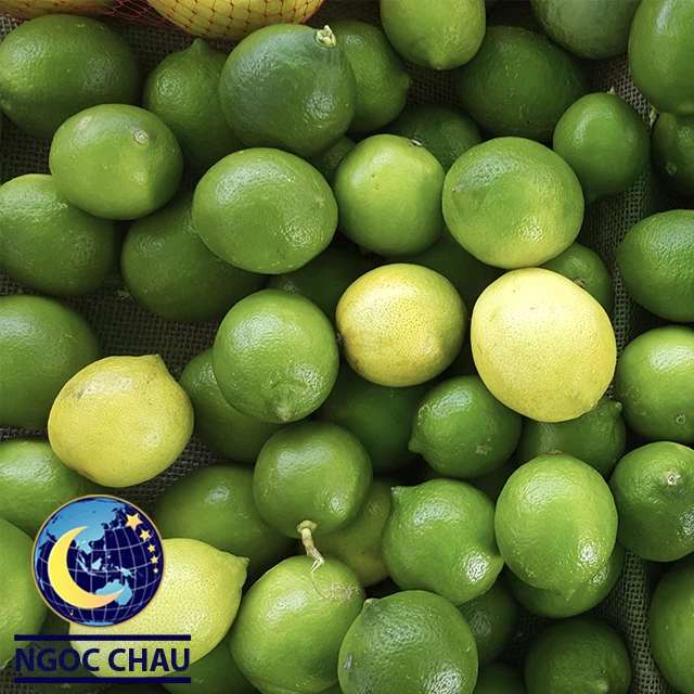 fresh lemon 100% natural fresh lime and enhances your resistance