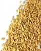 VIET NAM BEE POLLEN GOOD PRICE