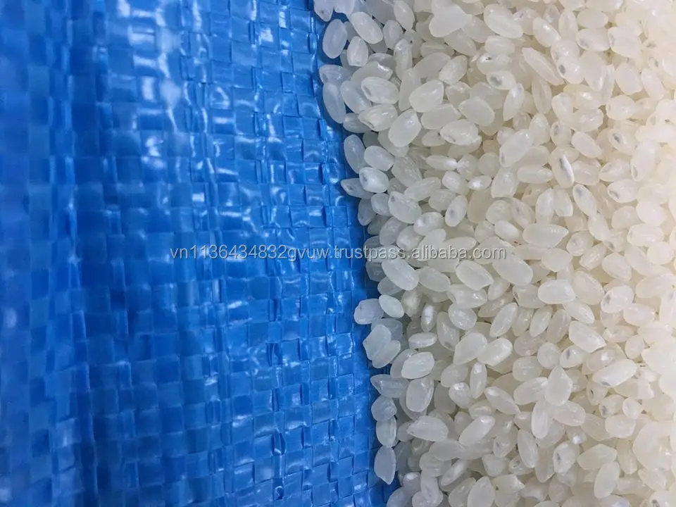 JAPONICA 2% BROKEN 2.jpg