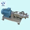 RLS top grade gas-liquid-solid mixing high viscosity low shear Parallel double-screw screw pump high performance twin screw pump