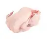 /product-detail/halal-brazil-frozen-whole-chicken-62000948774.html