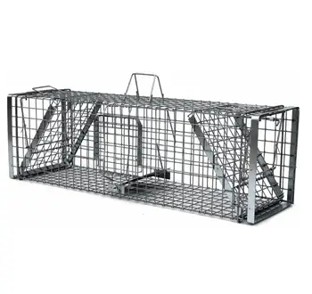 humane traps