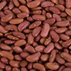 Top quality Red Kidney beans current year crop.