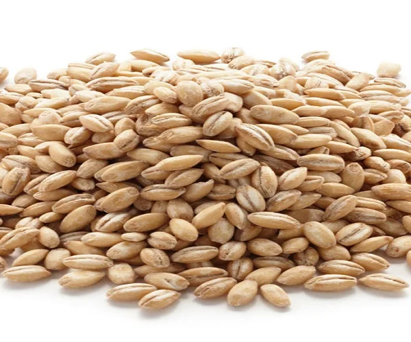 pearl-barley-510x652.jpg