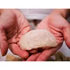 100% Natural Indonesia White Bird's Nest With Premium Quality
