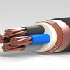 High Quality Best Price 0,6/1 kV XLPE Insulated Concentric Conductor Screen Multi-Core Cables with Copper Conductor