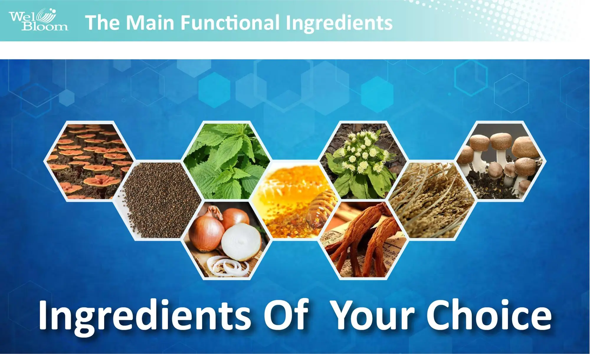 Elderly Care Lactobacillus Johnsonii Immunity Improvement Dietary