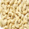 Certified Cashew nuts/ Organic Cashew Kernels/ Non GMO Cashew nuts Kernels