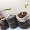 COMPETITIVE PRICE COCO PEAT PELLETS FROM VIETNAM/MS NANCY +84 377 518 917