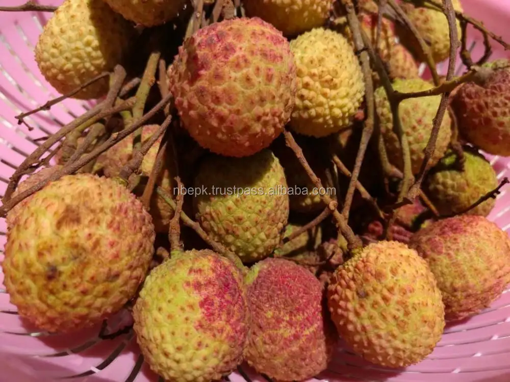 Producto En Oferta Fruta Fresca De Lichi De Pakistan Buy Lichi Litchi Lichee Litchee Fruta Exotica De Fruta Lichi Lichee Product On Alibaba Com