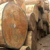 Timber Wood Logs ebony, pine wood logs