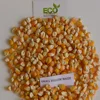 Small Yellow Corn