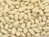 Long blanched peanuts for sale affordable price