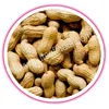 Wholesale Indian Raw Bold Peanuts at Factory Cheap Price