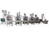 Automatic Line For Packing Swedish Snus