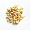 Certified Cedar Nuts / Pine Nuts (Peeled) Long Grain