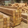 High Grade sawn timber Pine/Beech pallet lumber/pine wood lumber in Ukraine