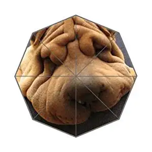 Funny Dog Wallpapers Customized Good Quality Printing Umbrella