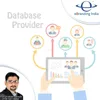 Database Provider Service