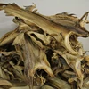 DRIED STOCK FISH FOR SALE / Frozen Stock Fish from Norway