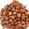 Buy wholesale 100% wild Hazel Nuts