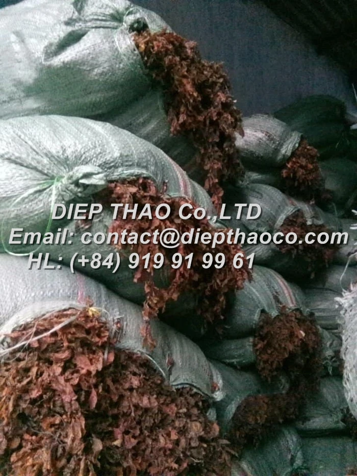packing sargassum seaweed.jpg