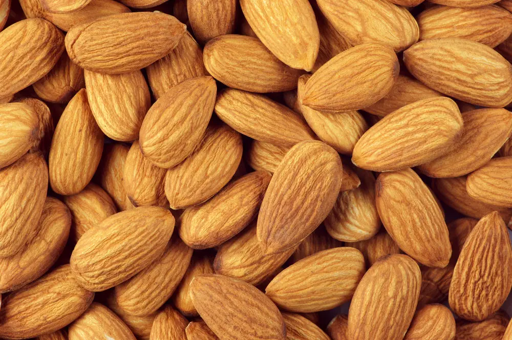 Image result for almonds