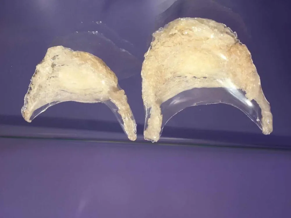 100 Pure And Natural Edible Bird Nest Malaysia Buy Bird Nest,Edible