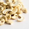 Wholesale wild Raw cashew nut
