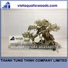 Cute item driftwoood bonsai for decoration Whatsapp +84 963949178