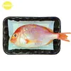 Absorbent Food Pad for Meat Fish Fruit Transportation