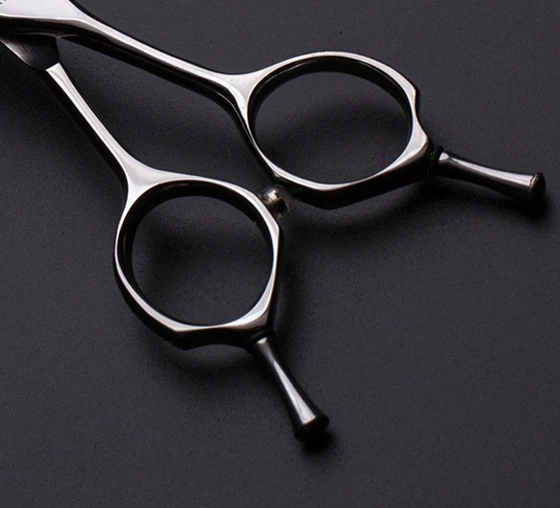 pet scissors