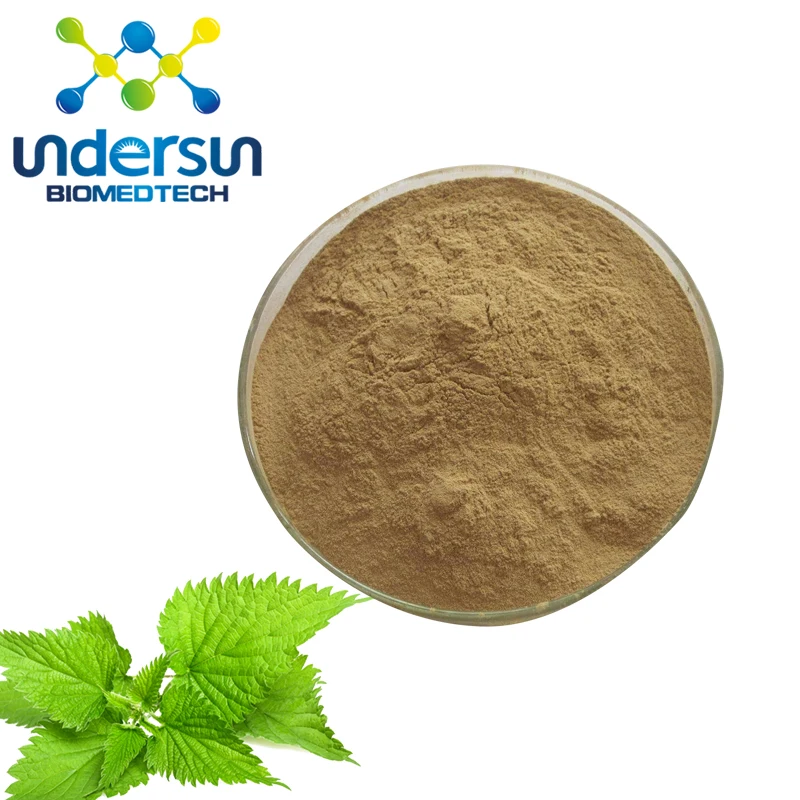 Stinging Nettle Extract/stinging Nettle Extract Powder/nettle Leaf Tea ...