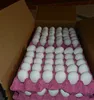 Fresh Chicken Table Eggs supplier 2019
