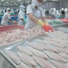 /product-detail/frozen-pangasius-steak-hgt-fillet-50039117421.html